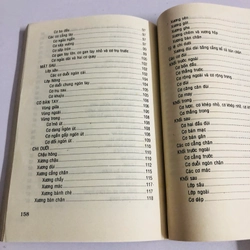 GIẢI PHẪU TẠO HÌNH 539433