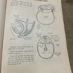 PHỤ KHOA HÌNH MİNH HỌA, A.D.T.Govan,C.Hodge-R.Callander, 1995 569822