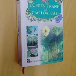 TỪ ĐIỂN TRANG VỀ CÁC LOẠI CÂY 