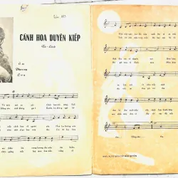 Tờ Nhạc Xưa 1960: CÁNH HOA DUYÊN KIẾP - Tử Linh (Đoàn Chuẩn) - NXB An Phú 728125