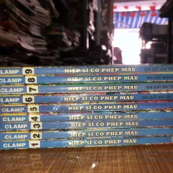 Hiệp sĩ có phép màu - Clamp 791670