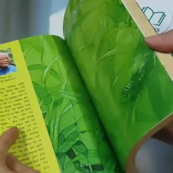 Dế Mèn phiêu lưu ký 698592