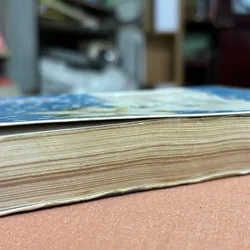 Sẽ để em yêu anh lần nữa 🌊 680168