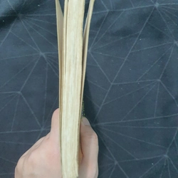 Lưu Thiếu Kỳ & Ân oán Trung Nam Hải 498939