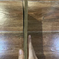 Giảng Văn lớp đệ tứ trung học - Nguyễn Quảng Xương  (o5) 974723