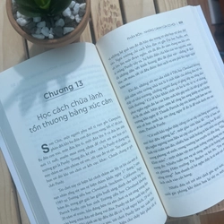 Sách Trí tuệ cảm xúc - Daniel Goleman - sách còn mới 98% 522373