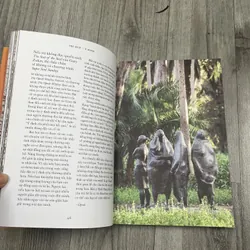 Trí tuệ những hiểu biết thay đổi cuộc đời- Oprah winfrey. 7a1 738681