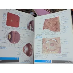 Atlas Giải Phẩu Người - Todd. R. Olson 360687