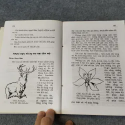 ĐƯỜNG THÀNH CÔNG 720031