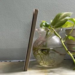 20 phút uỷ thác công việc 763053