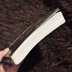 Đèn không hắt bóng 931426