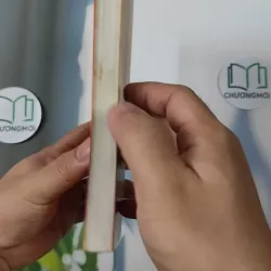 Blogger - Phong Điệp 798352