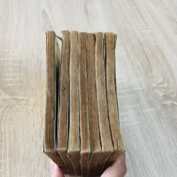 VÕ LÂM NHỊ LONG ( Độc Cô Hồng) - 7 tập 1044831