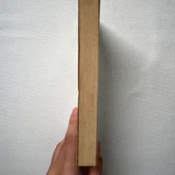 Othello - William Shakespeare 1028845