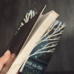 Combo Marai Sandor 598739