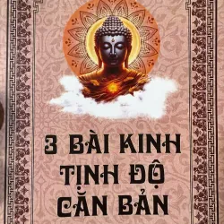 S73. 3 BÀI KINH TINH ĐỘ