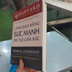 LÃNH ĐẠO BẰNG SỨC MẠNH TRÍ TUỆ CẢM XÚC - DANIEL GOLEMAN, RICHARD BOYATZIS, ANNIE MCKEE 446439