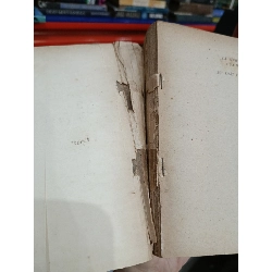 Cá tính sáng tạo của nhà văn và sự phát triển văn học - M.N. Parkhơmenkô (Lê Sơn, Nguyễn Minh dịch) 737997