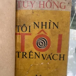 TÔI NHÌN TÔI TRÊN VÁCH - TUÝ HỒNG 760355
