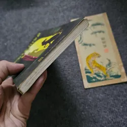 Nàng mèo - Colette 733910