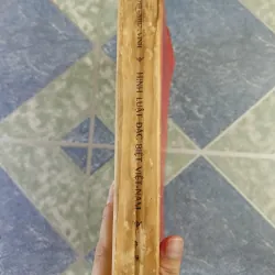 Hình luật đặc biệt Việt Nam - Hà Như Vinh 701493