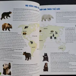 Bộ sách khám phá Việt Nam - Khám phá rừng Tam Đảo 737117