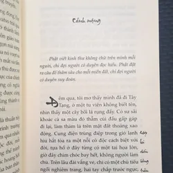 Gặp lại chốn hồng trần sâu nhất - Bạch Lạc Mai 558973