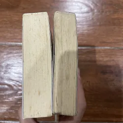 Hoả Kiếm 2 tập  744994