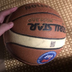 Bóng rổ gerustar số 7