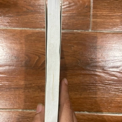Cải cách và sự phát triển - Nguyễn Trần Bạt (9) 495610