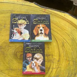 COMBO CHÚ CHÓ SHILOH - MÙA SĂN SHILOH - GIẢI CỨU SHILOH- PHYLLIS REYNOLDS NAYLOR