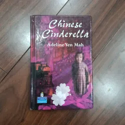 Chinese Cinderella