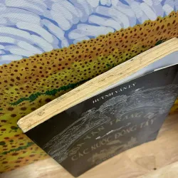 Văn Hóa Trang Trí Các Nước Đông Tây - Huỳnh Văn Lý 927239