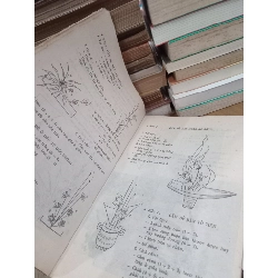 Tổ chức đời sống gia đình - Triệu Thị Chơi 779698