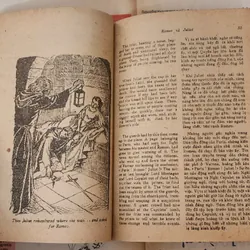 Truyện kể từ kịch Shakespeare - song ngữ Anh-Việt (tranh vẽ) 726850