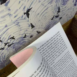 Tiếp Cận Thể Loại Văn Học Cổ Trung Quốc - Đinh Phan Cẩm Vân 731578