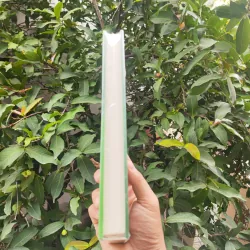 Thoát Bẫy Tâm Lý Giao Dịch Trong Chứng Khoáng 926927