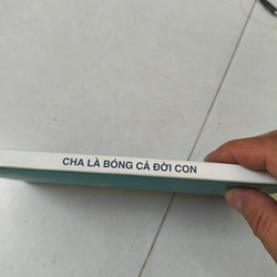 Cha là bóng cả đời con 407545