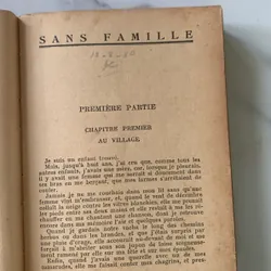 SANS FAMILLE, HECTOR MALOT, Tome 1-2, Không gia đình 715260