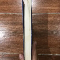 Người yêu dấu (8) 323047