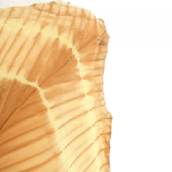 Issey Miyake ISSEY MIYAKE 2021 IM12FH609 Váy 648183