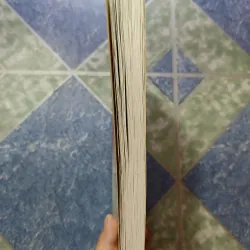 Mùa xuân và phong tục Việt Nam 1000186