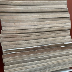 Trọn bộ truyện 24 quyển Ánh trăng bí ẩn Chie Shinohara 547923
