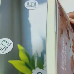 Việt Nam Của Tôi - Những Câu Chuyện Nhận Con Nuôi 705739