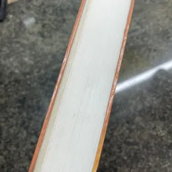 Albert Einstein Nhà bác học vĩ đại của nhân loại Albrecht Folsing 777996