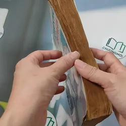 [XƯA] Ông Chủ Ballantra (1990) - Robert Louis Stevenson 776098