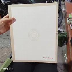 Lịch Sử Đồng Tiền Việt Nam  606475