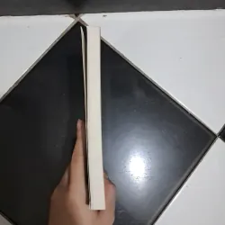 Kỹ thuật trồng Bonsai 1018639