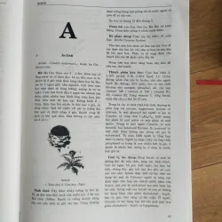 Bộ sách Từ điển Cây thuốc Việt Nam tập 1, 2 1021608