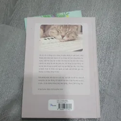 Đời còn dài hà tất phải hoang mang 995780